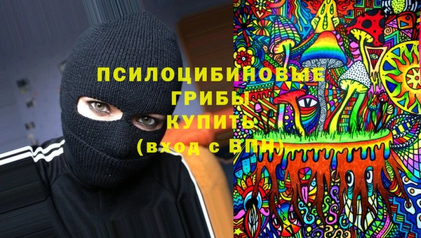 спиды Осинники
