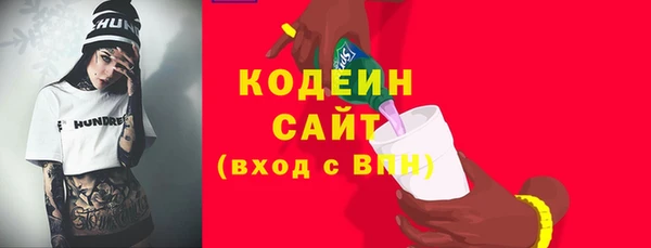 гашик Осташков