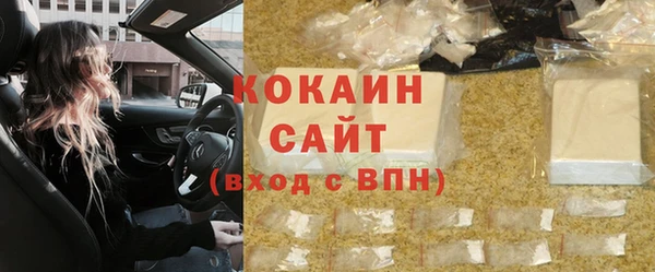 гашик Осташков