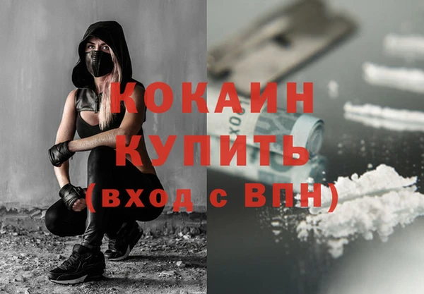 гашик Осташков